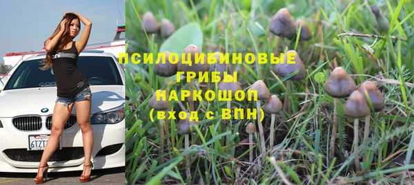 мет Вяземский